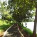 Parque Dona Zica (Bosque Municipal de Chavantes)