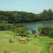 Parque Dona Zica (Bosque Municipal de Chavantes)