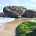 Praia do Abricó (pt) in Rio de Janeiro city