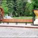 Bench Memories in Zhytomyr city
