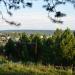 Чома в городе Ильинско-Подомское