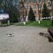 Руины Ейского станкостроительного завода (ЕСЗ) в городе Ейск