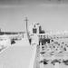 בית הקברות הבריטי בירושלים - הר הצופים in ירושלים city