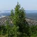 Гора Чірка-Каяси 249,7 м в місті Севастополь