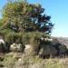 Nuraghe Sa Coa Lada ou Mesu 'e Nodos