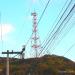 Torre de Transmissão (Celular e Dados) (pt) in São Gonçalo city