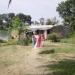 Jaipal Home