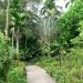 Singapore Botanic Gardens