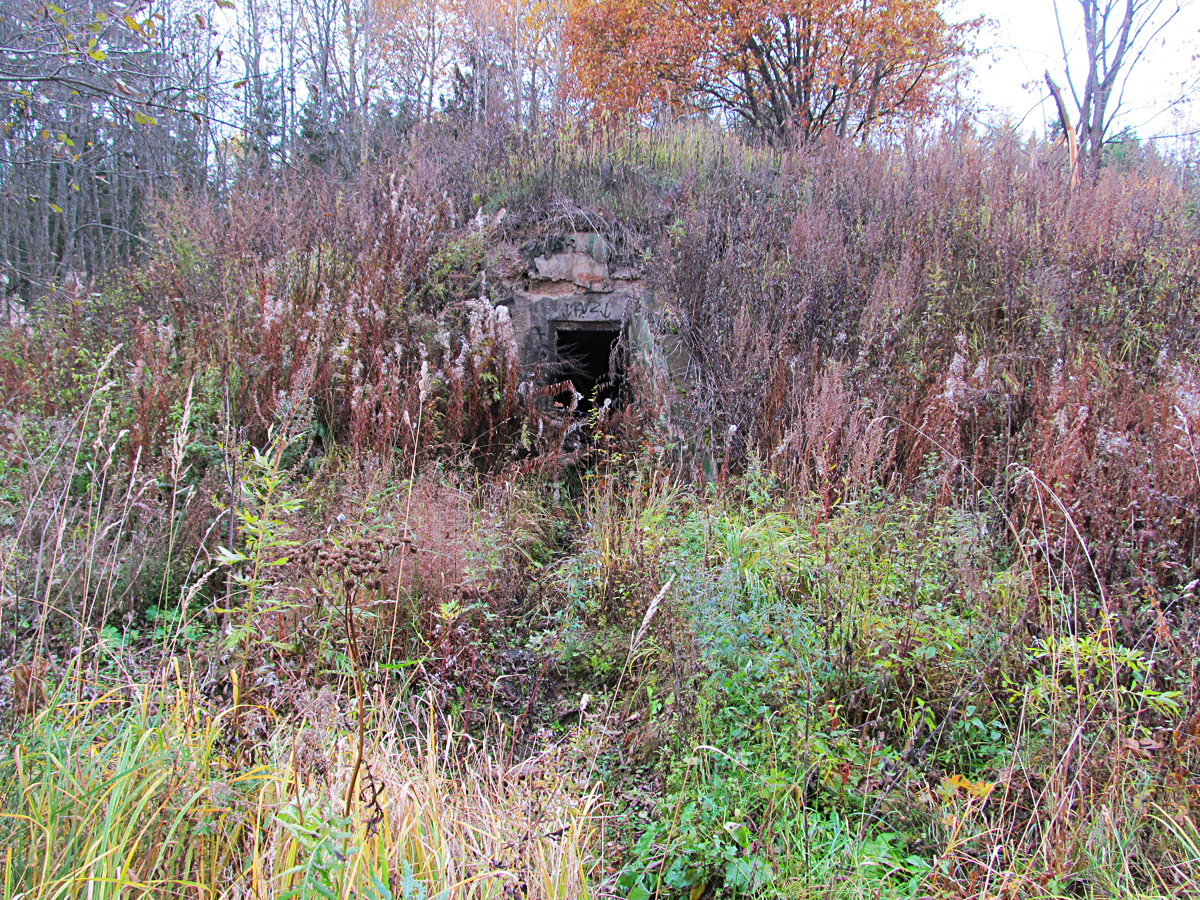 Бункер в лесу Леонидовка