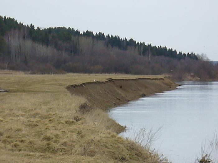 Великоустюгский район деревня Обрадово