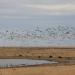 Grulla National Wildlife Refuge