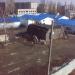 Рынок в городе Михайловск