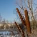Ring-shaped pond on the left bank of river Yauza floodplain in Moscow city