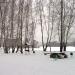 Строгинский полуостров (ru) in Moscow city
