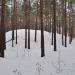 Бабья горка в городе Каменск-Уральский