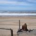 Camping Miguel Lillo en la ciudad de Necochea