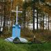 Памятник умершим от цинги в городе Заветы Ильича