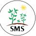 S.M.S. And Companies in Chennai city