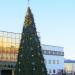 Место установки новогодней ёлки в городе Гомель