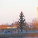 Место установки новогодней ёлки в городе Гомель