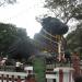 Nandi Bull  in Mysuru city