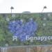 Билборд в городе Гомель