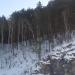 Скала Динозавр в городе Каменск-Уральский
