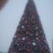 Место установки новогодней ёлки в городе Воронеж