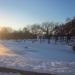 Домик для водоплавающих птиц в городе Кривой Рог