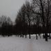 Парк в городе Истра