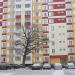 Дуб в городе Гомель