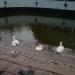 Summer theater in Dnipro city