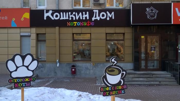 Кошкин дом график работы