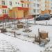 Клумба в городе Гомель
