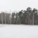 Площадка для мусорных контейнеров в городе Гомель
