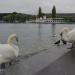 Schwanenplatz in Stadt Luzern