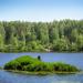 Остров в городе Куровское