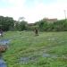 Umbul Pelem in Klaten city