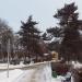 Сквер им. А. М. Прокина в городе Чехов