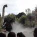 Jurassic World: The Ride in Los Angeles, California city