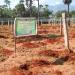 NADP-PANDAL CULTIVATION-2014-15-KEEZHAPPAVUR BLOCK