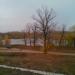 Старица в городе Самара