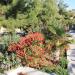 Пляжный комплекс отеля Porto Mare (ru) in Alushta city