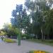 Светофорное дерево в городе Пенза