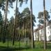 Стройплощадка нового Раменского роддома в городе Раменское