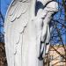Weeping Angel in Zhytomyr city