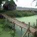 KAMARAJAR FISH FARM