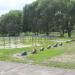Спортивная площадка в городе Гомель