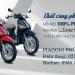 Piaggio Phú Thọ trong Thành phố Việt Trì thành phố