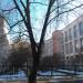 Институт педагогики и психологии образования МГПУ (ru) in Moscow city
